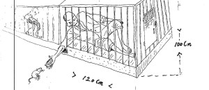 The Future of North Korea Part 1