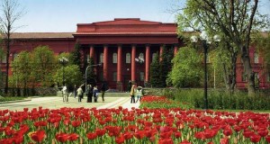 Thoughts on Ukrainian Higher Education