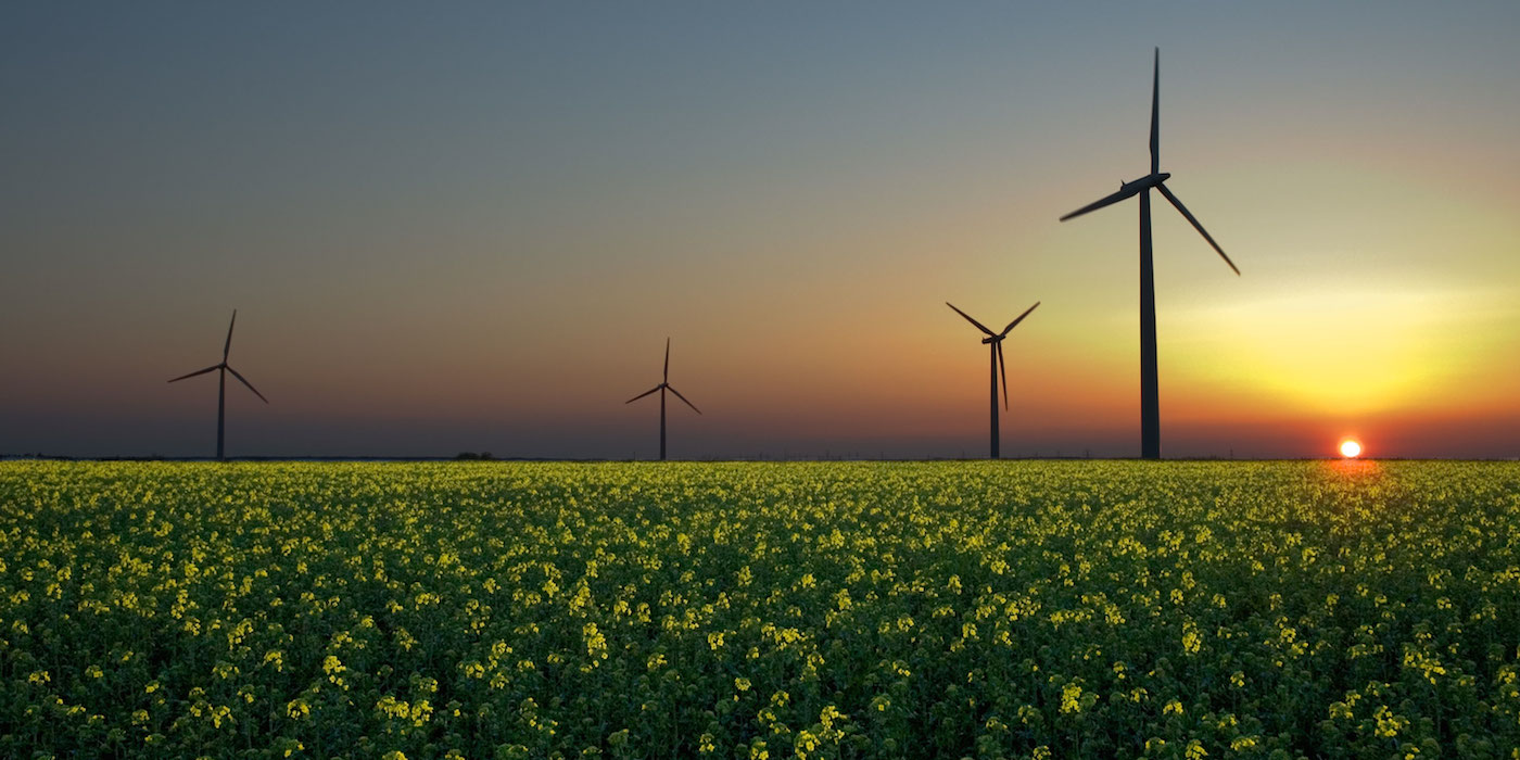 Driving Renewable Technology to sector dominance in 2014